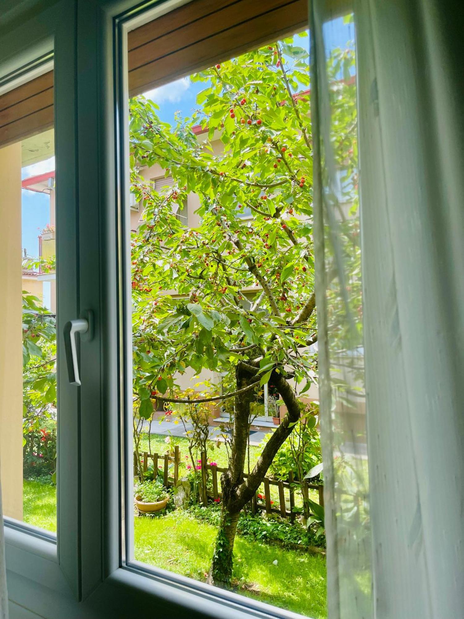 Apartmán Le Rose Terst Exteriér fotografie